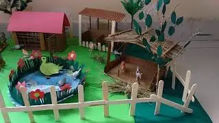 Animals shelter /How to prepare Animals shelter for kids project