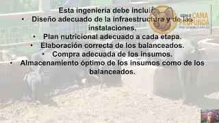 Como corregir los peores errores en la alimentaci&oacute;n y en la nutrici&oacute;n