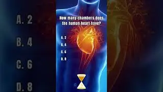 Anatomy Quiz! Part 10 #anatomy #anatomyfacts #humananatomy