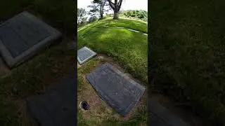Famous Graves - Vol. 509: Ricky Nelson