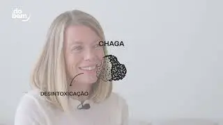 Cogumelos Funcionais: a cura a partir de dentro