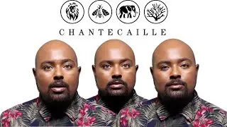 Full Face of CHANTECAILLE | ThesPNation