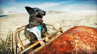 Обезумел от 100% достижений в Mad Max