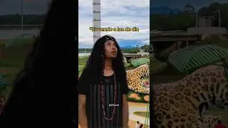 Vendo a lua de dia e o sol a noite #comedia #humor #memes #viral #shorts #fyp