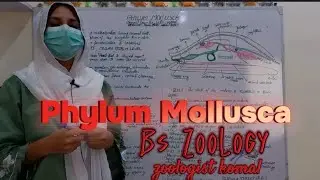 Phylum Mollusca || Molluscan Characteristics ||Miller & Harley Zoology || Chapter 12 || Bs Zoology