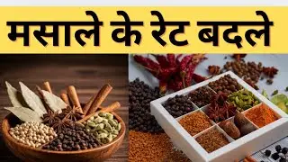 Wholesale Masala Business | Wholesale Masala Market In Delhi | Khari Baoli Masala Market | मसाला