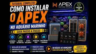 Tutorial Completo: Como Instalar o Apex no Aquário Marinho | Guia Passo a Passo