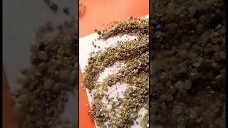 African rough diamond// अफ्रीकन रफ डायमंड// Diamond Info// rough diamond//natural Diamond//