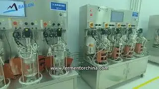 Bailun quadruple 5L double wall glass bioreactor #bioreactor #fermenter