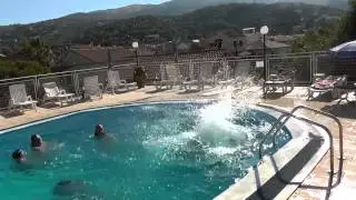 Very Funny Dive