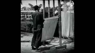 Noodle Master  #history  #vintage  #china  #food  #skills