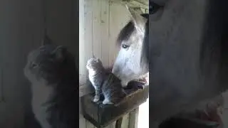 WhatsApp Video 2021 03 18 at 15 45 23
