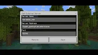 my server join verjen 1.19.62. ip or port in screen