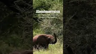 15 Tage Luxus Safari & Inseltraum Sansibar &ndash; Deine Abenteuerreise beginnt hier #Sansibar #safari