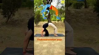 Yoga poses inspired by Hindu gods #shorts #viral #yoga #yogasehihoga #god #asana #hindumythology