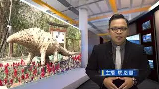 竹藝搭配AR體驗 2026左鎮燈會將登場-新永安新聞