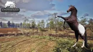 Unbridled exploration p1 #horses #farming #ranchlife #games #pcgaming