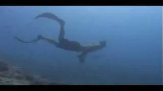 MWSRP - Rich Rees Free-Diving Manta Point