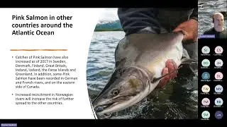 Virtual Fisheries Forum | Norwegian Pink Salmon Control | 11.03.24