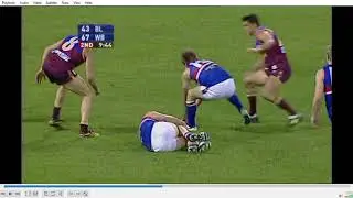 Round 12 Fitzroy/Brisbane Lions VS Western Bulldogs 2006 Chris Grant