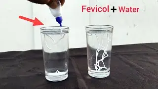 Fevicol vs Cool + Normal Water 🔥 | Unbelievable Result! 😱 | Amazing Science Experiment