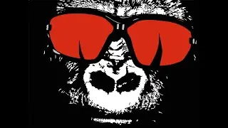 Der Gorilla mit der Sonnenbrille - Level 1 - Ukulelensongs für Kinder ab 3 (Volker Rosin Cover)
