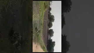 20 Acres Land For Sale In Tellapur Sangareddy#agriculturalland #agriculturallandforsale