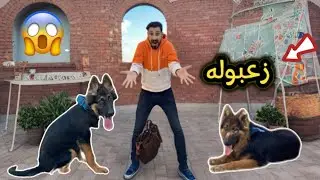 اول مقابله بين بولا وكلبي الجديد || زعبوله😱
