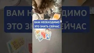 &hearts;️📢&diams;️ВАМ НЕОБХОДИМО ЭТО ЗНАТЬ СЕЙЧАС #таро #tarot #power #сила #эзотерика #психология #тароонлайн