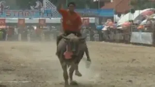 Annual water-buffalo race gets underway in Thailand