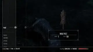 Skyrim_20251003080817100325_ Katria has her dream come true.