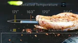 Elevate Your Cooking with the MeatStick 4X