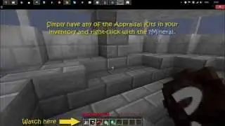 FandomCraft Tutorials: Appraising