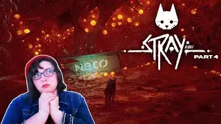 45 MINUTES OF ZURK INDUCED TRAUMA | Stray Part 4
