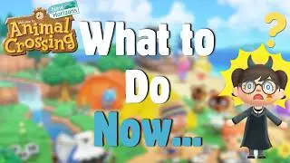 Everything You Should Do Before Starting Animal Crossing 3.0