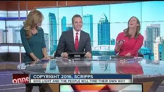 ABC Action News: Weekend Edition