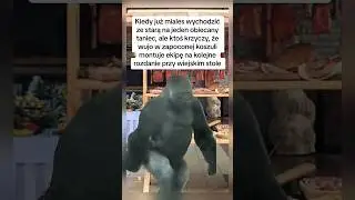 Wyb&oacute;r jest zawsze ten sam😂😉 #dlaciebie #śmieszne #memes #humor #fyp #shorts #dc #wujciobimba