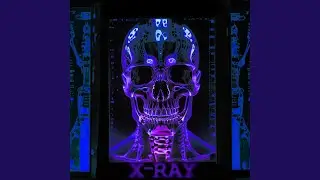 Starmatik23 - X-RAY -