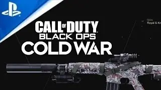 Call Of Duty Black Ops Cold War - XM4 Camos Comparison (Stroke,Wasteland,Growl,Acidic) [4K]