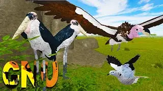 Jogando com a Pomba 