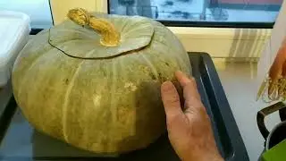 Квашеная тыква в тыкве