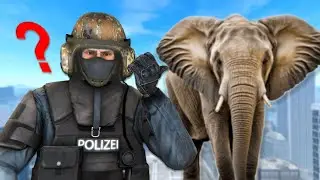 addressing my elephant (BEST OF 2025)