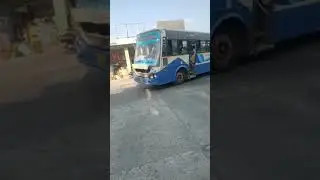 tn. stc bus mass entry with horn sound #bussimulatorindonesia #bussid #viral #trending#shorts