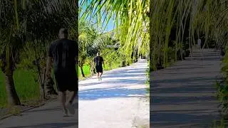 A Quiet Morning #shorts #ambientmusic #ambient #peace #calm