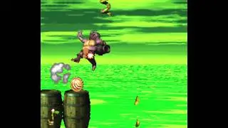 Donkey Kong Country 2: Diddy's Kong Quest- Rattle Battle  (Bonus Coins + DK Coin Walkthrough)