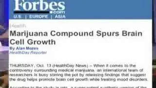 The War on Drugs: What a Joke! (MUST-SEE VIDEO!!)