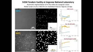 Dynamics of Microstructural Evolution in Materials under Irradiation