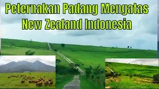 Suasana senja di Padang Mengatas New zealand indonesia