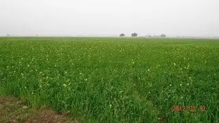 Bihar agriculture University me admission kaise le how to admission in Bihar agriculture University
