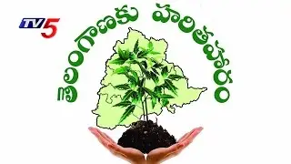 All Set To Telangana Haritha Haram Project |  CM KCR | TV5 News